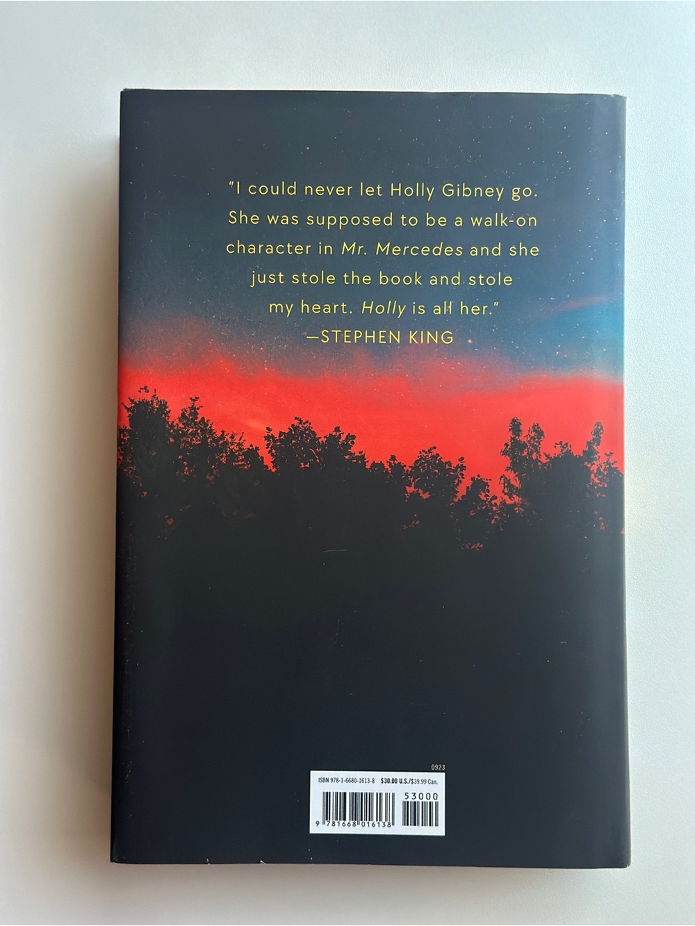 Holly by Stephen King | Fiction, Thriller | Hardcover Book - Picture 2 of 11